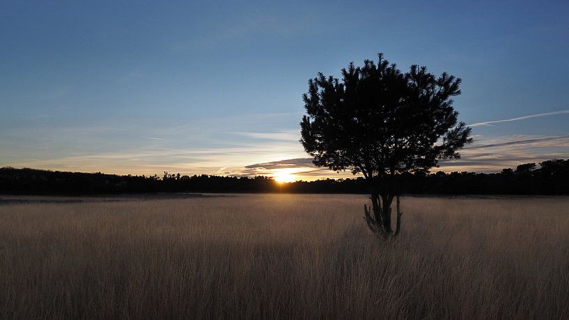 De rust van een zonsondergang  van Moor van Bree foto's