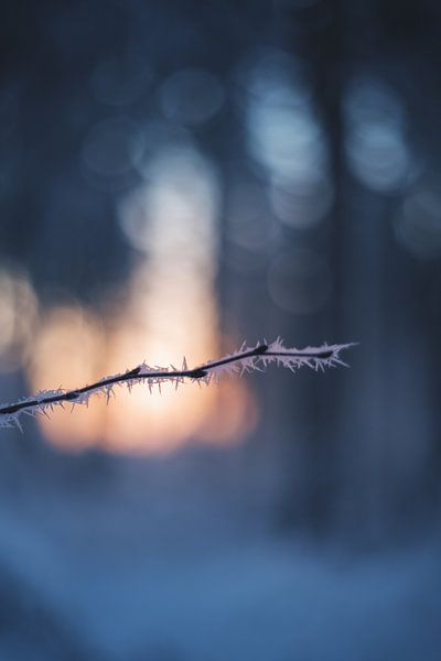 Coucher de soleil en Bavière par Jonas Lechner