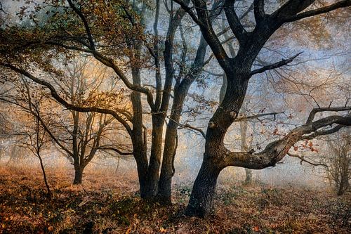 De natuur als toevluchtsoord