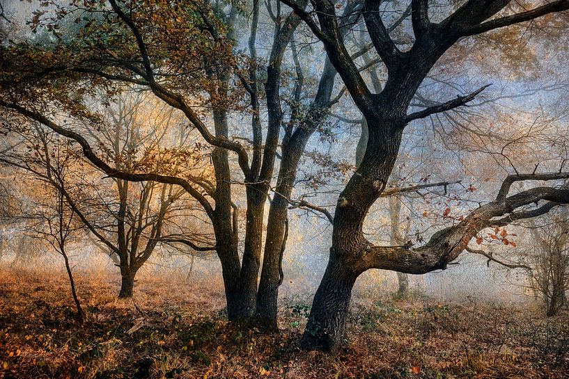 Nature as a place of retreat by Heiko Westphalen