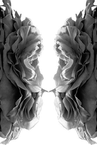 Wir sehen uns dann - Rosen von Bloemportret