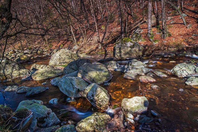 Mountain river La Hoëgne by Rob Boon