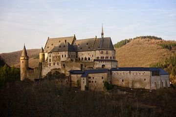 Kasteel Vianden Luxemburg van Luis Emilio Villegas Amador