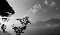 Ausblick mit Kontrast