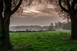 Ochtend licht van Maurice Looyestein