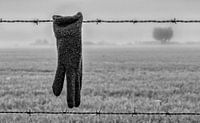 Eenzame handschoen