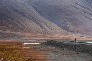 Einsamer Radfahrer auf Svalbard von Ed Klungers