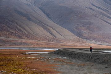 Lonely cyclist on Svalbard by Ed Klungers