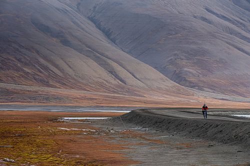 Lonely cyclist on Svalbard