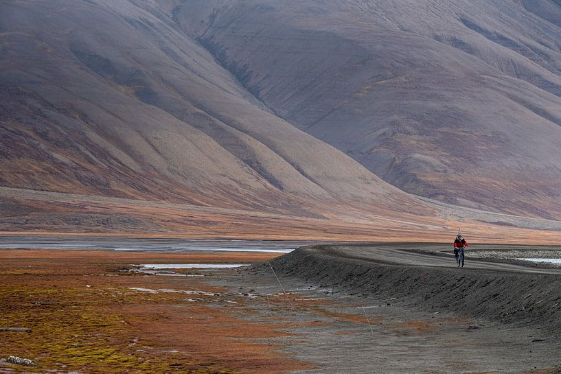 eenzame fietser op Spitsbergen van Ed Klungers