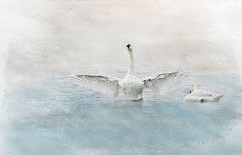 Swan Lake by Heike Hultsch