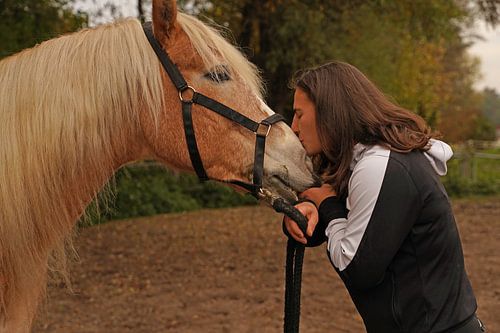 Fotoshoot met lichtbruine Haflinger met beige manen