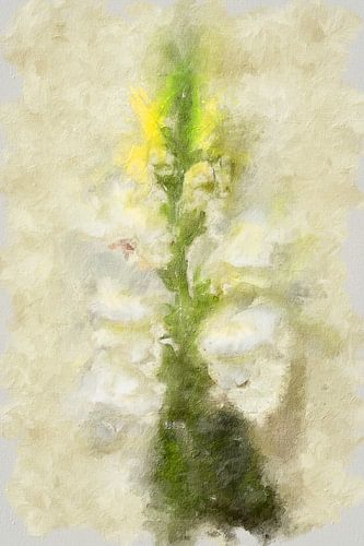 Fleurs blanches (art)