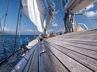 Sailing on a sunny day