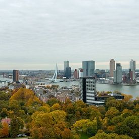 Rotterdam van Petra Bos