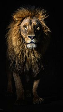 Présence invisible sur P U F F Y