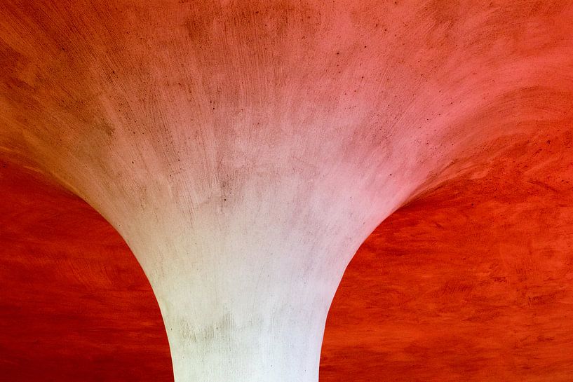 Rood in architectuur par Wouter Pinkhof
