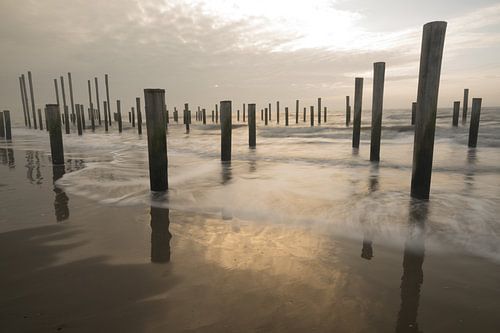 Village de palmiers près de Petten