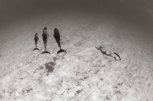 One with the pod by Joost van Uffelen