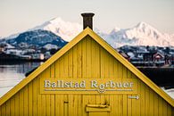 Roof of a yellow wooden house in the Lofoten Islands by Martijn Smeets thumbnail