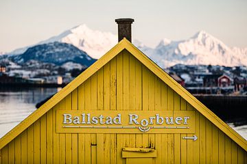 Dak van een geel houten huis in de Lofoten
