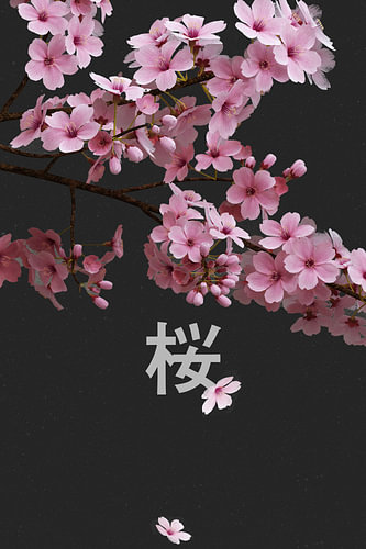 Sakura Noir