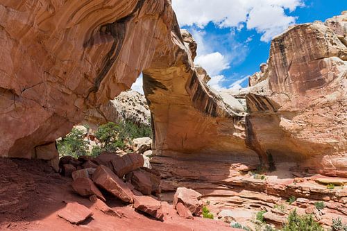 Hickman Bridge bij Capitol Reef Nationaal Park Amerika