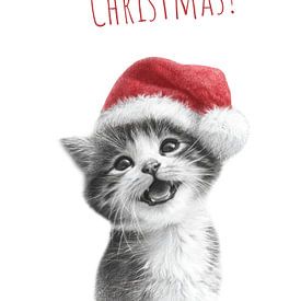 Weihnachtskätzchen von Melanie Viola