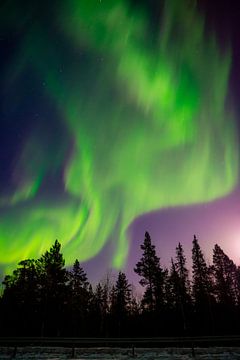 Dans of the Northernlights 2 van Jelle Bakker