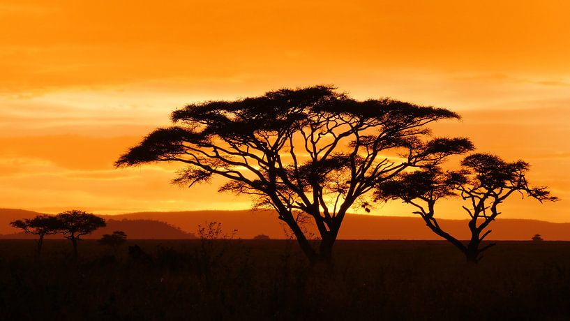 Sonnenuntergang in Afrika auf der Savanne in Tansania von Robin Jongerden