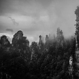De zandstenen pilaren van Avatar van Paul Oosterlaak