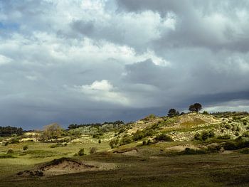 Wurmenveld, Zandvoort NL