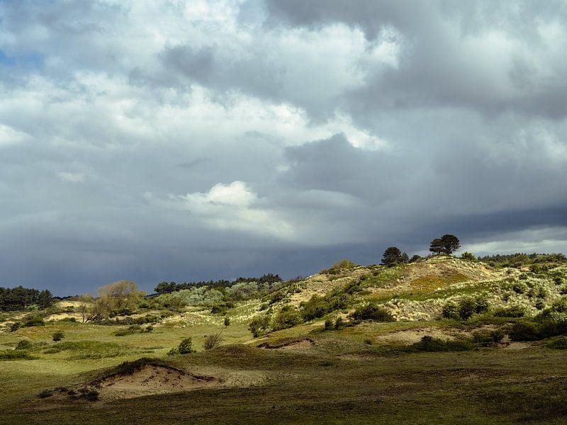 Wurmenveld, Zandvoort NL by Photography by Demmers