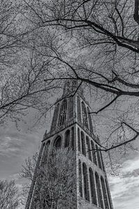 Domturm Utrecht von Domplein an einem sonnigen Tag - schwarz und weiß - 2