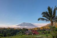 Reisterrassen mit dem heiligen Berg Agung im Hintergrund, Bali, Indonesien von Tjeerd Kruse Miniaturansicht