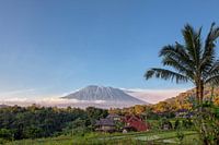 Rijst terrassen met de heilige berg Agung op achtergrond, Bali, Indonesië