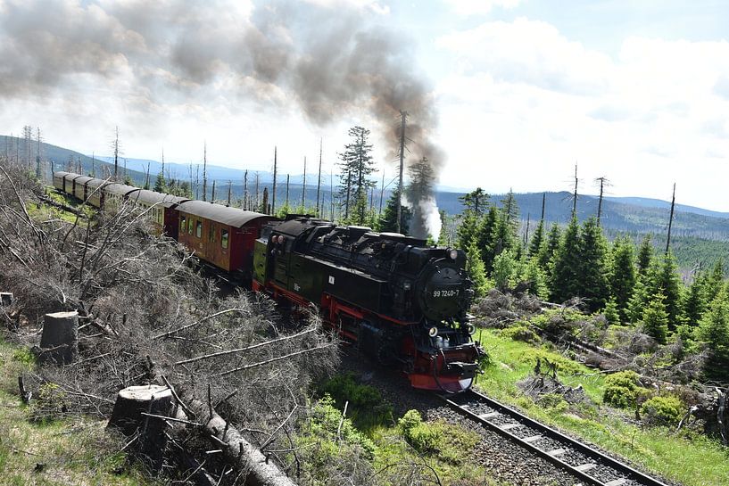 Train à vapeur du Harz par R Schloesser