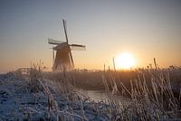 Winterbild mit Mühle Leeuwarden