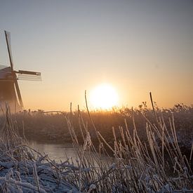 Winterbild mit Mühle Leeuwarden von Berend Drent