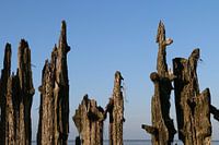 Moddergat, Waddenzee