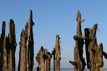 Moddergat, Waddenzee by Taco Ruiten