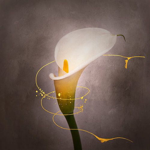 Sierlijke bloem - Calla No. 4 | Vintage stijl goud