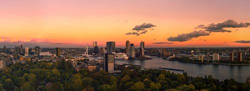 Panorama of Rotterdam