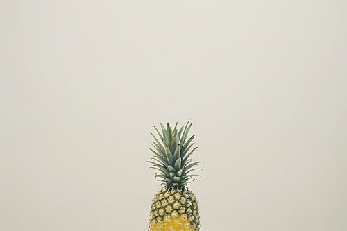 Minimalistische ananas in een modern ontwerp