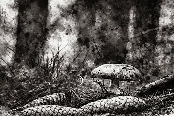 Gefragmenteerde zwart-witesthetiek