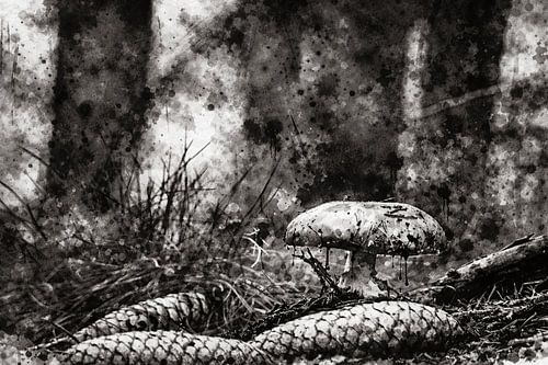 Esthétique fragmentée en noir et blanc