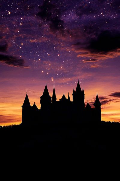 Château de conte de fées la nuit par Poster Art Shop