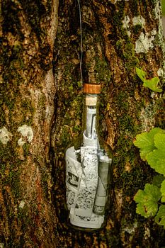 Flaschenpost – Glas am Baumstamm