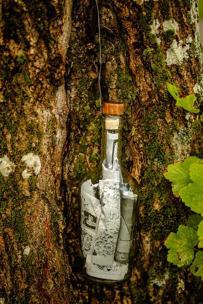 Flaschenpost – Glas am Baumstamm von Brave Toaster Photos