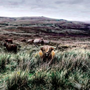 Natuurlijk landschap met hooglandkoe van Mad Dog Art